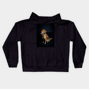 Golden Retriever Kids Hoodie